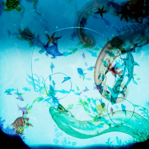 Test du jeu DIVE transparence